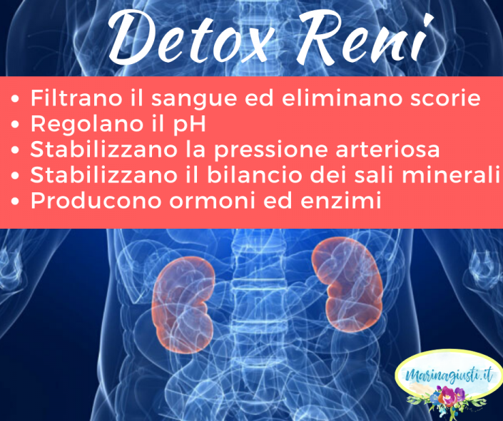 detox reni depurazione